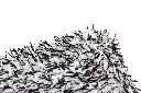 2914.webp