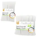 CHEMICALWORKZ INTERIOR CLEANING SCRUB ERGO